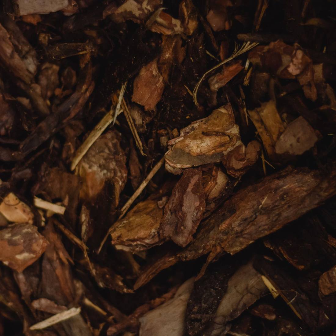 Rindenmulch